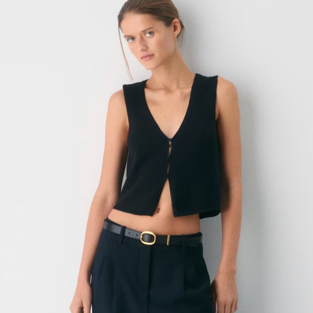 Aritzia-Basque Sweater Vest